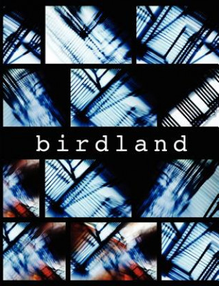 Libro Birdland Kathy McTavish