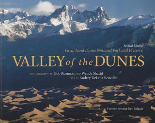 Libro Valley of the Dunes Audrey Delella Benedict