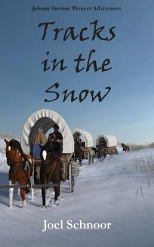 Kniha Tracks in the Snow Joel Frederic Schnoor
