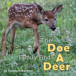 Könyv Doe Family Finds a Deer Tammera Donovan