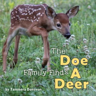 Book Doe Family Finds a Deer Tammera Donovan