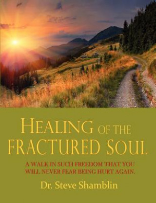 Kniha Healing of the Fractured Soul Steve Shamblin