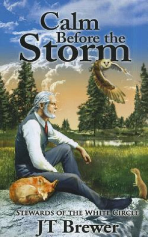 Könyv Calm Before the Storm JT Brewer