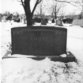 Buch Carl Andre: Quincy Carl Andre