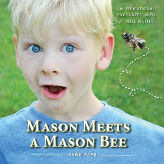 Carte Mason Meets a Mason Bee Dawn V Pape