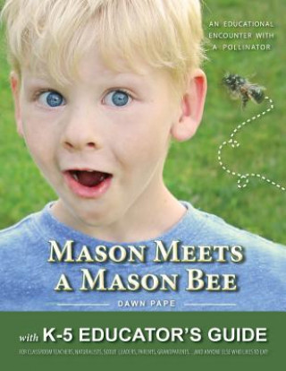 Kniha Mason Meets a Mason Bee Dawn V Pape