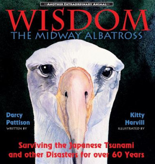 Kniha Wisdom, the Midway Albatross Darcy Pattison