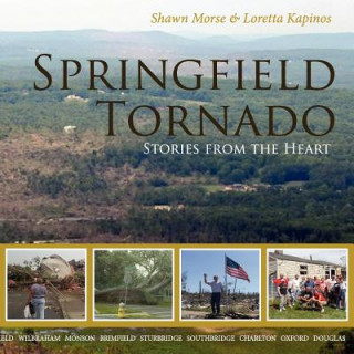 Kniha Springfield Tornado Loretta Kapinos