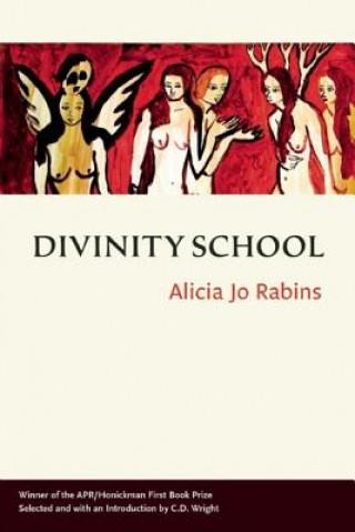 Könyv Divinity School C. D. Wright