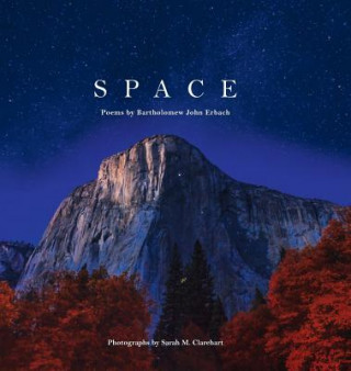 Книга Space Bartholomew John Erbach