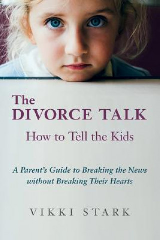 Książka Divorce Talk Vikki Stark