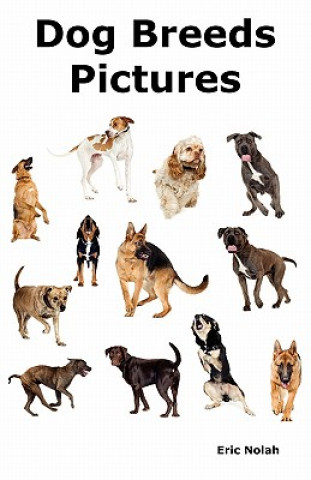 Könyv Dog Breeds Pictures Eric Nolah