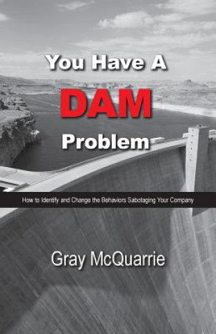 Kniha You Have a Dam Problem Gray McQuarrie