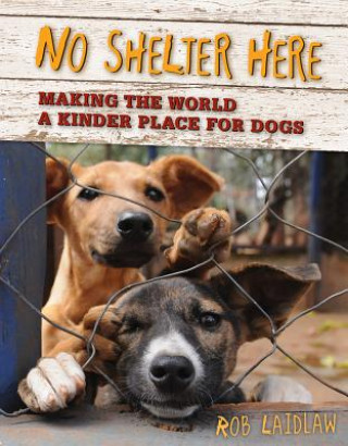 Libro No Shelter Here Rob Laidlaw