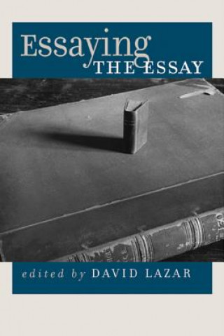 Kniha Essaying the Essay David Lazar