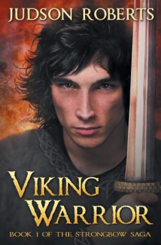 Buch Viking Warrior Judson Roberts