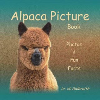 Kniha Alpaca Picture Book K. D. Galbraith