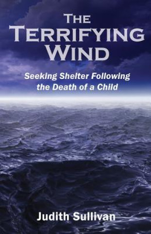 Kniha The Terrifying Wind Judith Sullivan