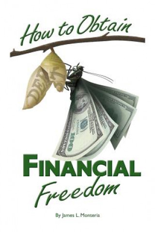 Kniha How to Obtain Financial Freedom James L. Monteria