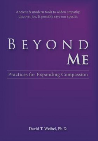 Buch Beyond Me David T Weibel