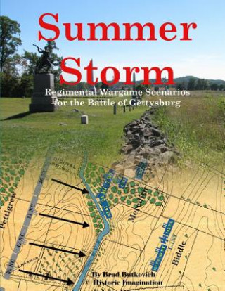 Kniha Summer Storm Brad Butkovich
