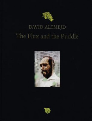 Carte David Altmejd: The Flux And The Puddle Anne Prentnieks