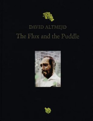 Könyv David Altmejd: The Flux And The Puddle Anne Prentnieks