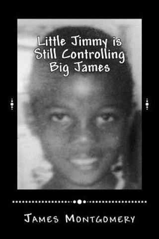 Book Little Jimmy Is Still Controlling Big James James Montgomery
