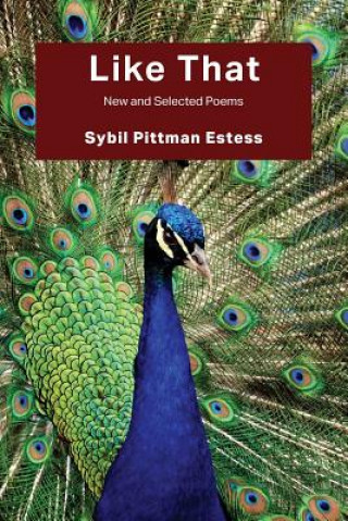 Buch Like That Sybil Pittman Estess