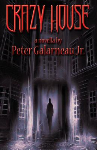 Książka Crazy House Peter Galarneau