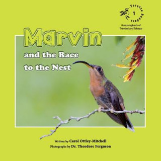 Carte Marvin and the Race to the Nest Carol Ottley-Mitchell