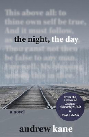 Kniha THE NIGHT THE DAY Andrew Kane