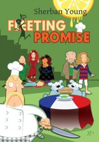 Kniha Fleeting Promise Sherban Young