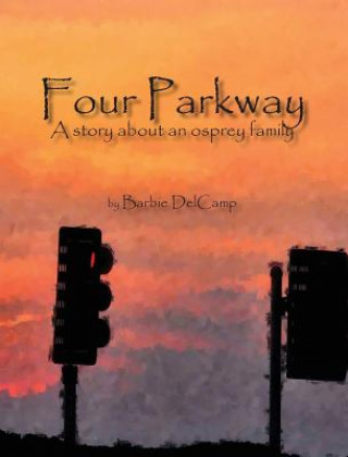 Kniha Four Parkway Barbie DelCamp