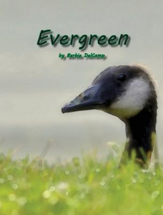 Buch Evergreen Barbie DelCamp