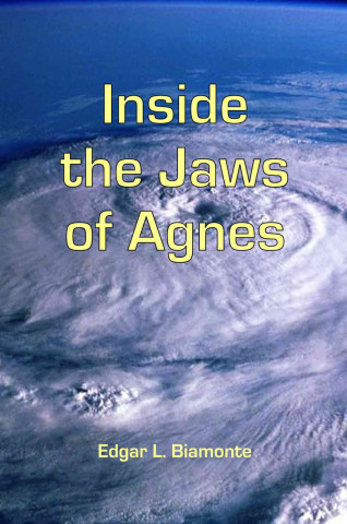 Buch Inside the Jaws of Agnes Edgar L. Biamonte