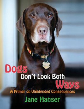 Könyv Dogs Don't Look Both Ways Jane Hanser