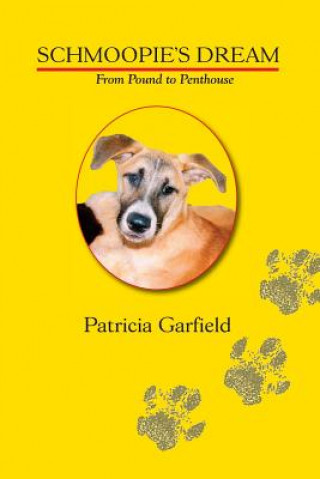 Könyv Schmoopie's Dream-From Pound to Penthouse Patricia PhD Garfield