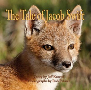 Kniha Tale of Jacob Swift Jeff Kurrus