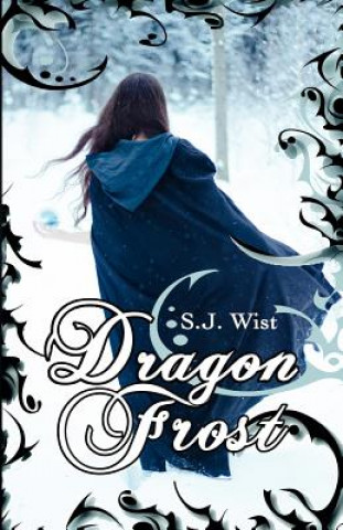 Livre Dragon Frost S. J. Wist