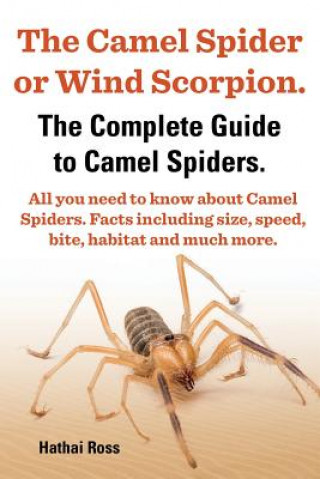 Carte Camel Spider or Wind Scorpion, The Complete Guide to Camel Spiders. Hathai Ross