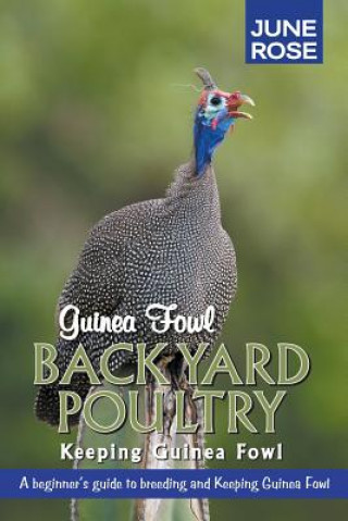 Kniha Guinea Fowl, Backyard Poultry June Rose