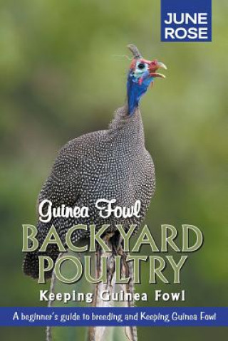 Book Guinea Fowl, Backyard Poultry June Rose