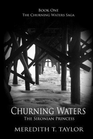 Libro Churning Waters Meredith T. Taylor