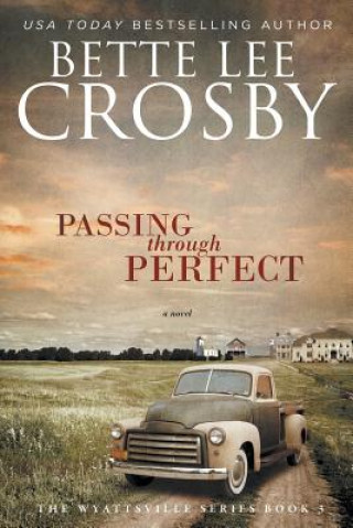 Livre Passing through Perfect Bette Lee Crosby