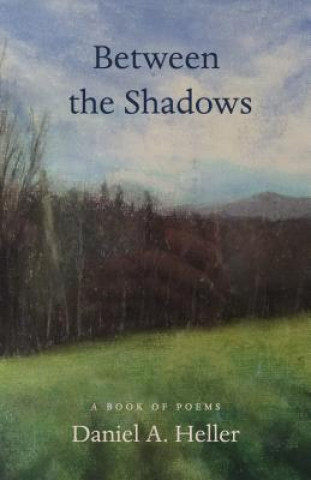 Könyv Between the Shadows Daniel A. Heller