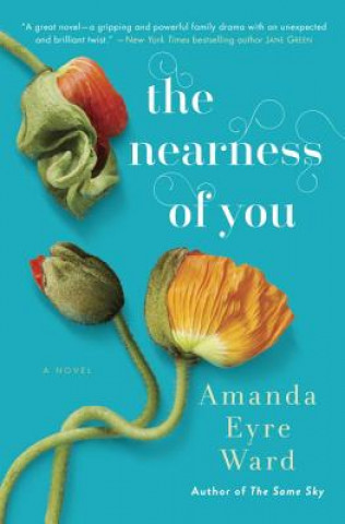 Könyv Nearness of You Amanda Eyre Ward