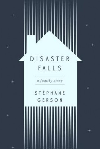 Kniha Disaster Falls Stephane Gerson