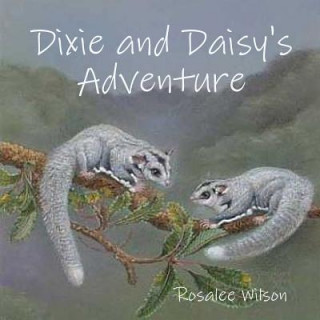Buch Dixie and Daisy's Adventure Rosalee Wilson