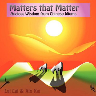 Книга Matters that matter Lai Lai